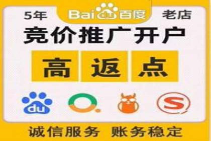 行业内的SEM竞价代运营公司优秀案例剖析